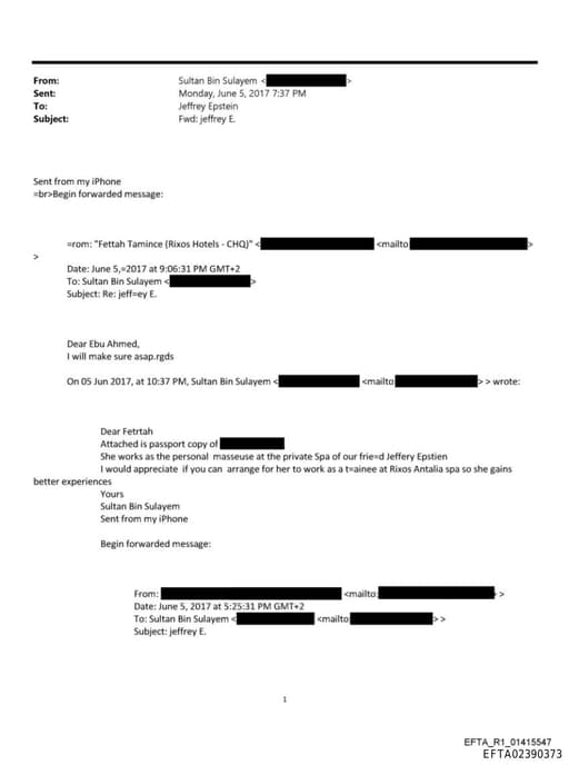 Preview of EFTA02390373