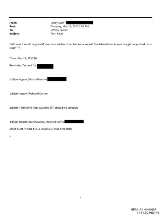 Preview of EFTA02390389