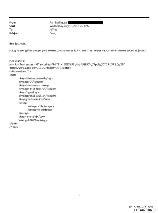 Preview of EFTA02390405