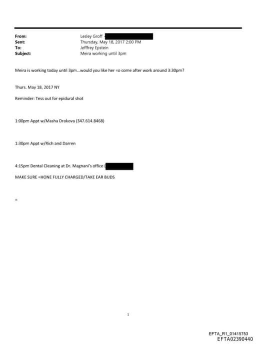 Preview of EFTA02390440