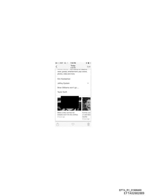 Preview of EFTA02682889