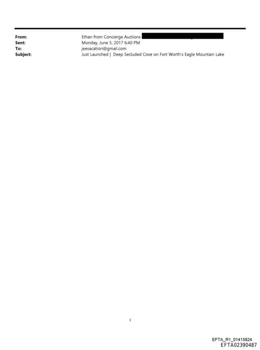 Preview of EFTA02390487