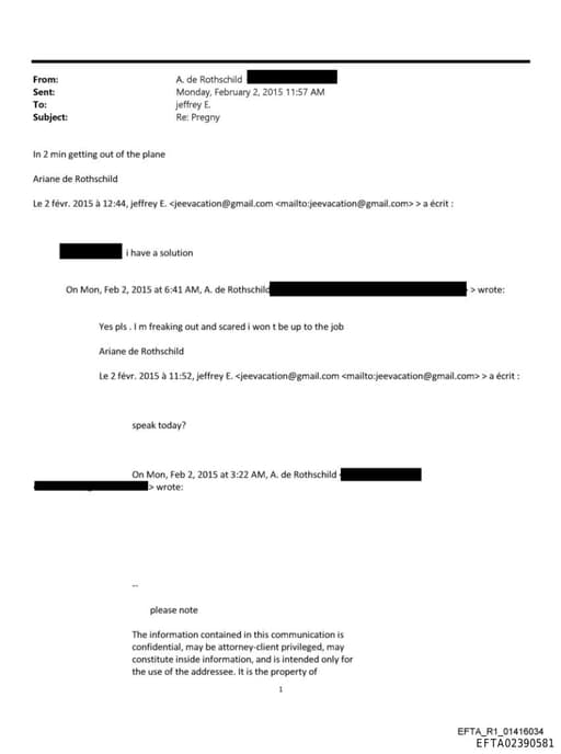 Preview of EFTA02390581