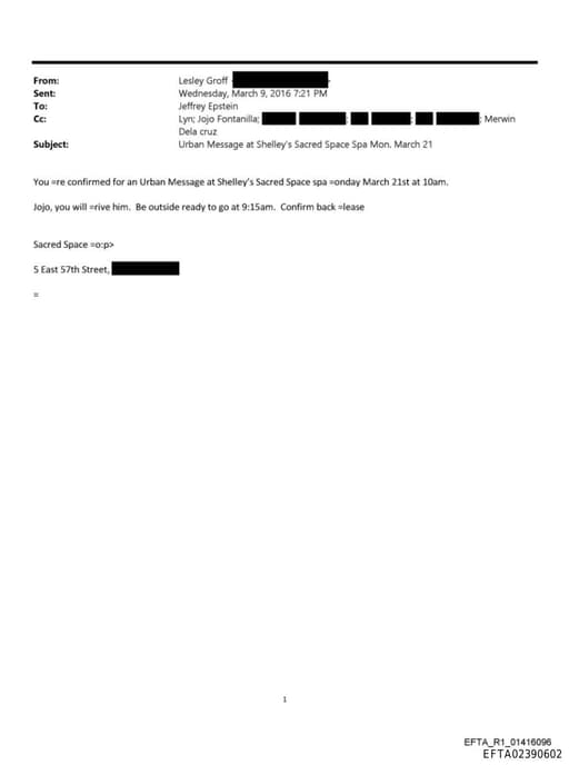 Preview of EFTA02390602