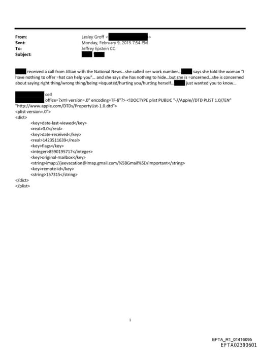 Preview of EFTA02390601