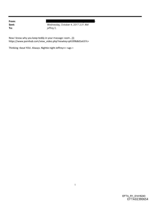 Preview of EFTA02390654