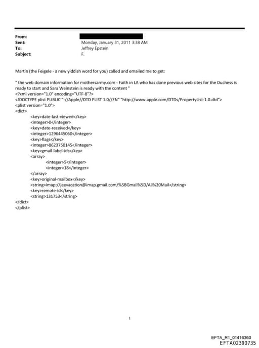 Preview of EFTA02390735