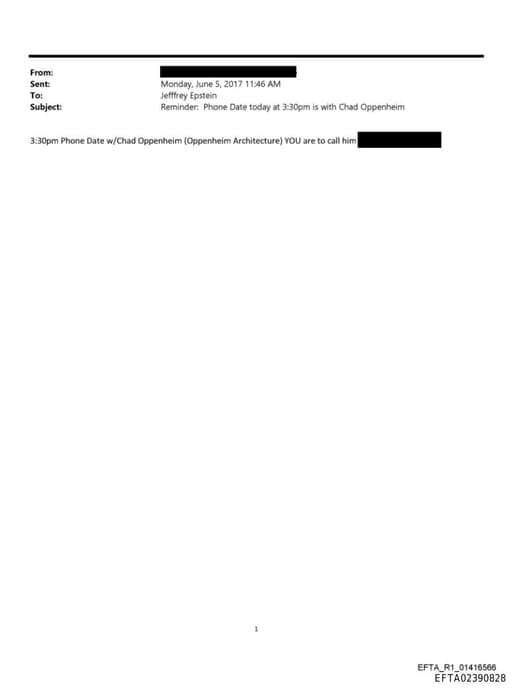 Preview of EFTA02390828