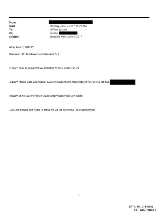 Preview of EFTA02390841