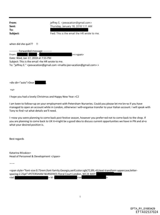 Preview of EFTA02537024