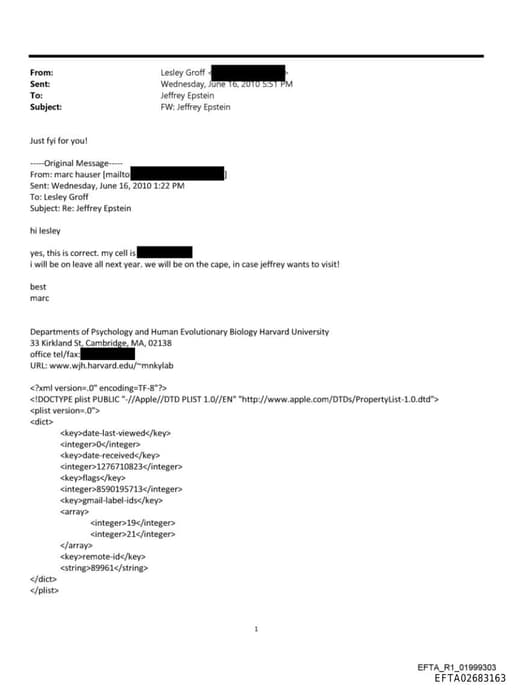 Preview of EFTA02683163