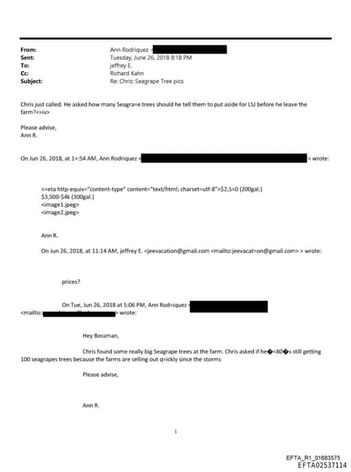 Preview of EFTA02537114