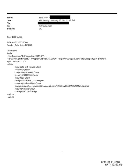 Preview of EFTA02391345