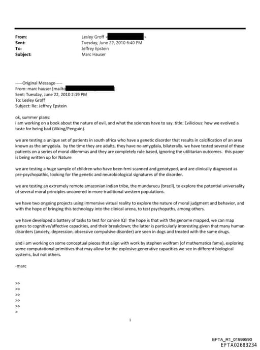 Preview of EFTA02683234