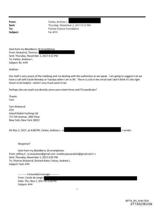 Preview of EFTA02391436