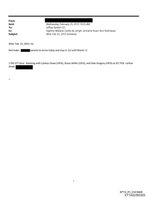 Preview of EFTA02391935