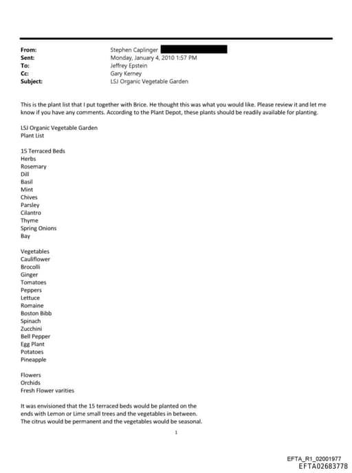 Preview of EFTA02683778