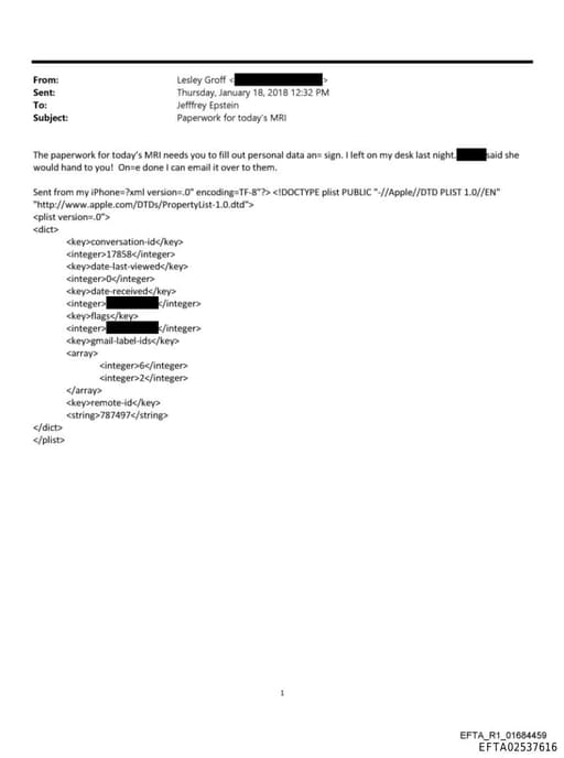 Preview of EFTA02537616