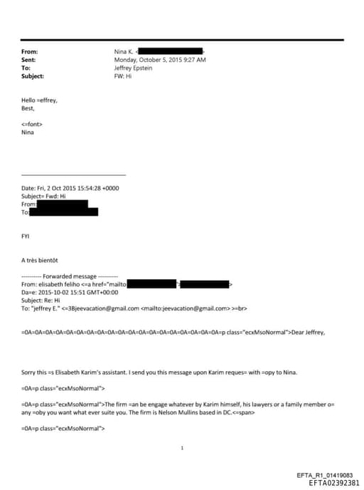 Preview of EFTA02392381