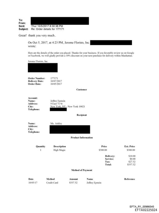 Preview of EFTA02225024