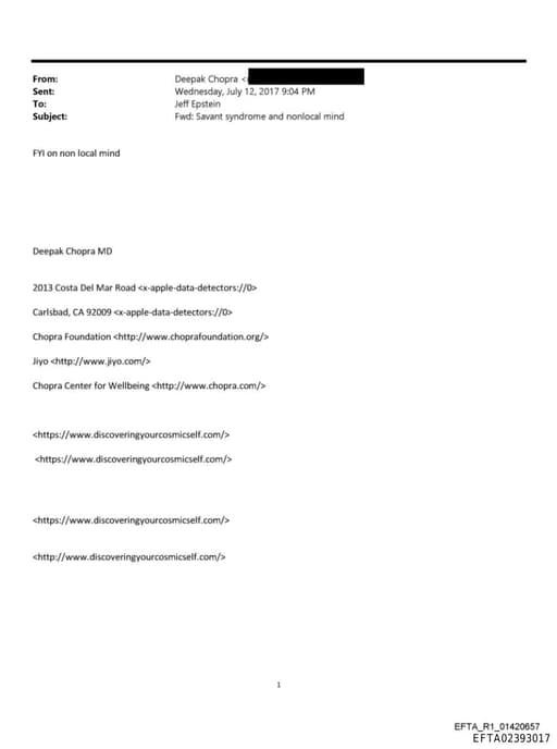 Preview of EFTA02393017