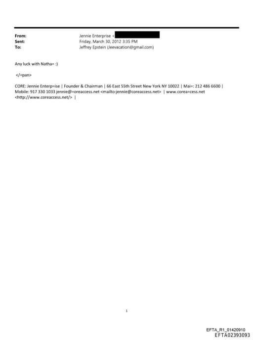 Preview of EFTA02393093