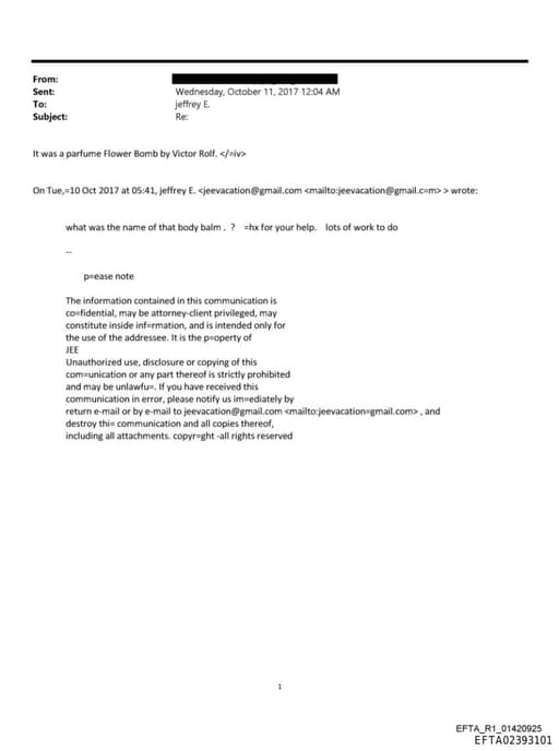 Preview of EFTA02393101