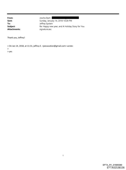 Preview of EFTA02538156