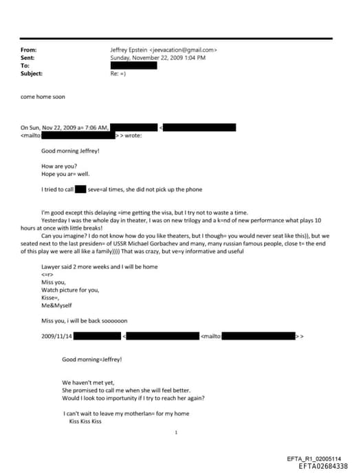 Preview of EFTA02684338