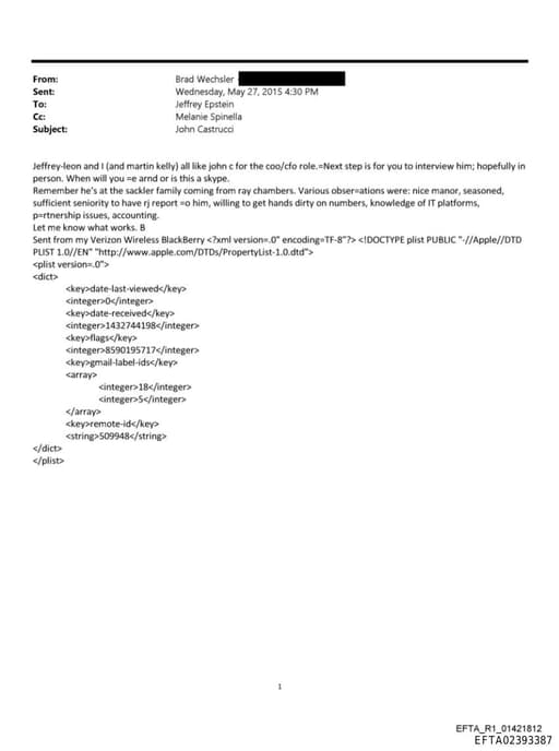 Preview of EFTA02393387