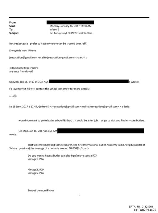 Preview of EFTA02393425