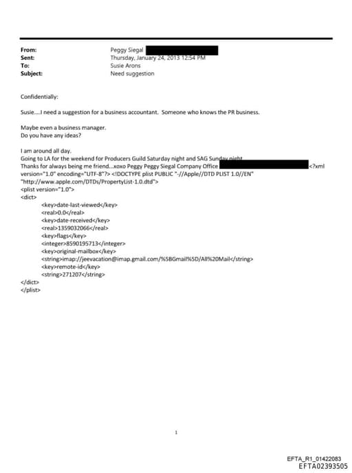 Preview of EFTA02393505