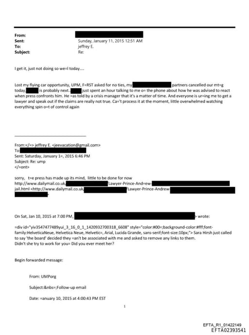 Preview of EFTA02393541