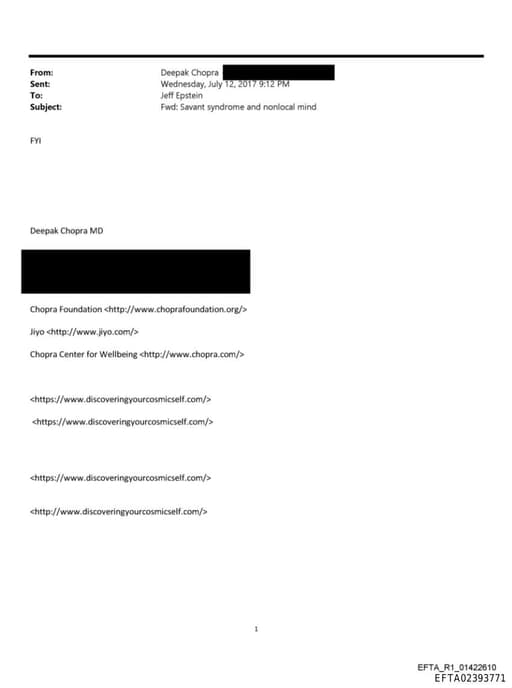 Preview of EFTA02393771