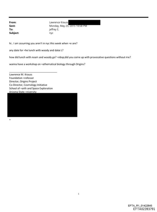 Preview of EFTA02393791