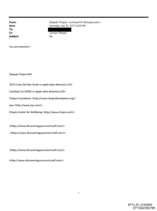 Preview of EFTA02393795