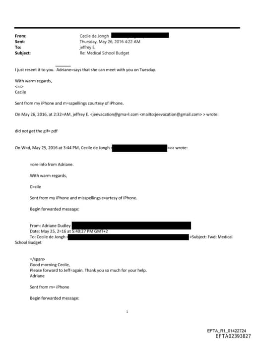 Preview of EFTA02393827