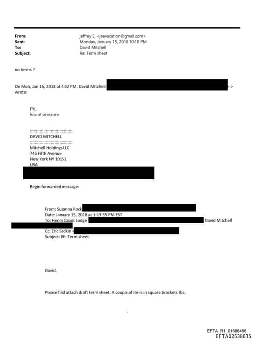 Preview of EFTA02538635