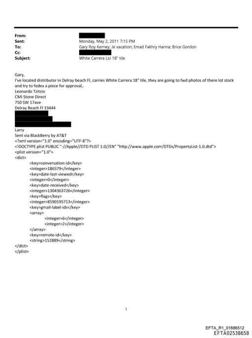 Preview of EFTA02538658