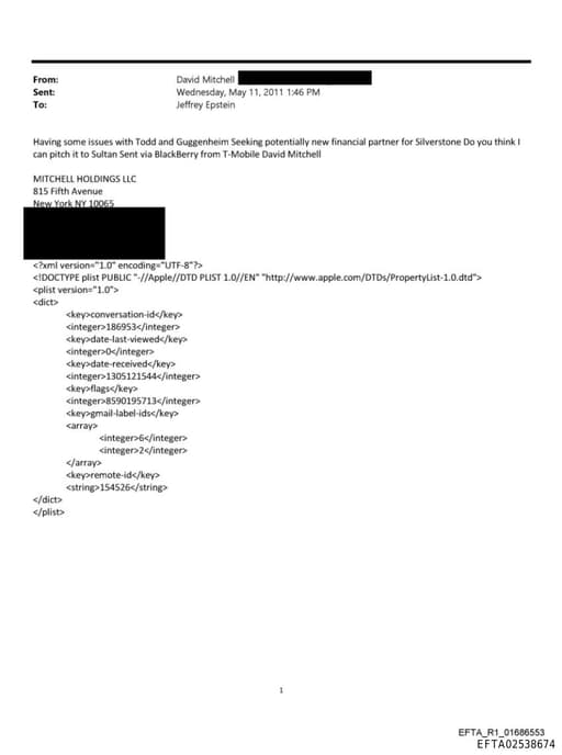 Preview of EFTA02538674