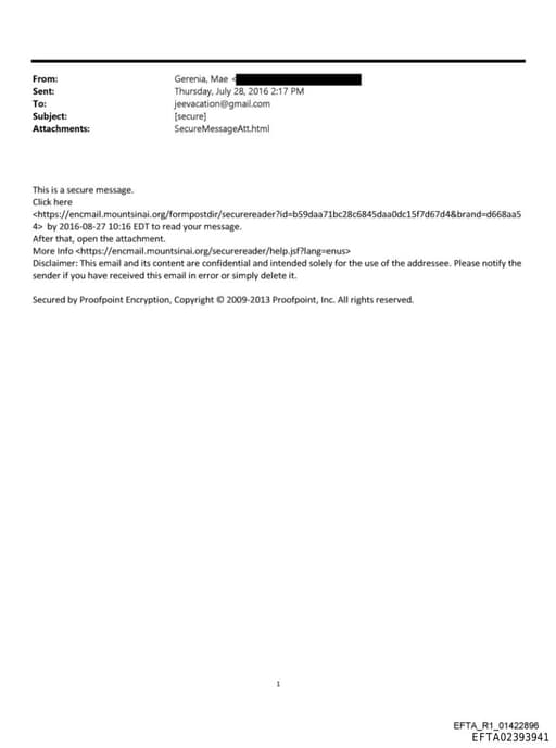 Preview of EFTA02393941