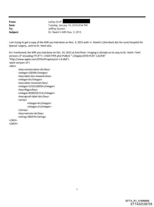 Preview of EFTA02538759