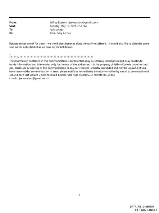 Preview of EFTA02538843