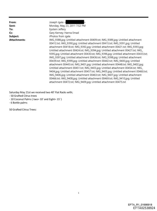Preview of EFTA02538924