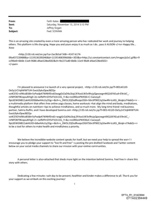 Preview of EFTA02394449