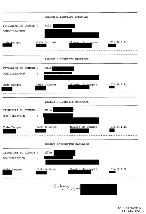 Preview of EFTA02685156