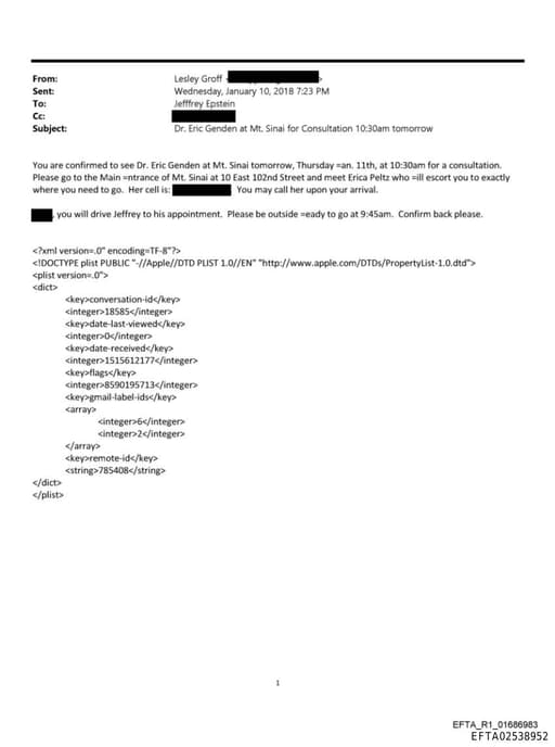 Preview of EFTA02538952