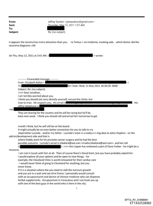 Preview of EFTA02538960