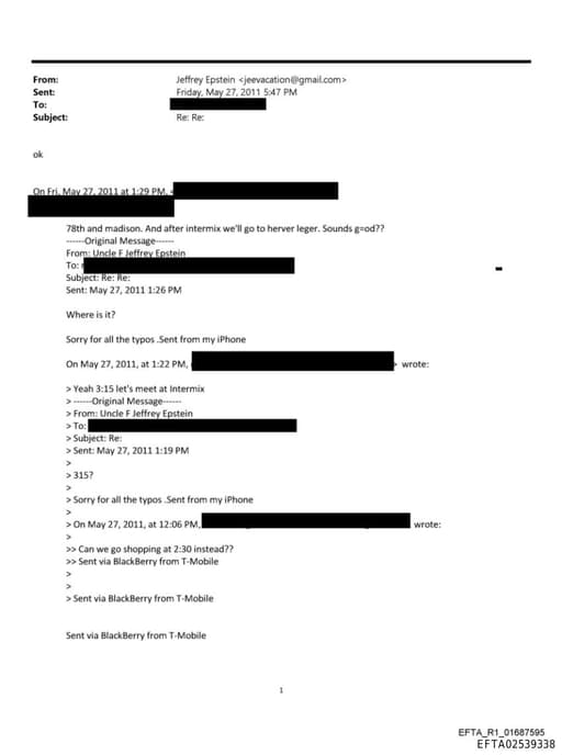 Preview of EFTA02539338