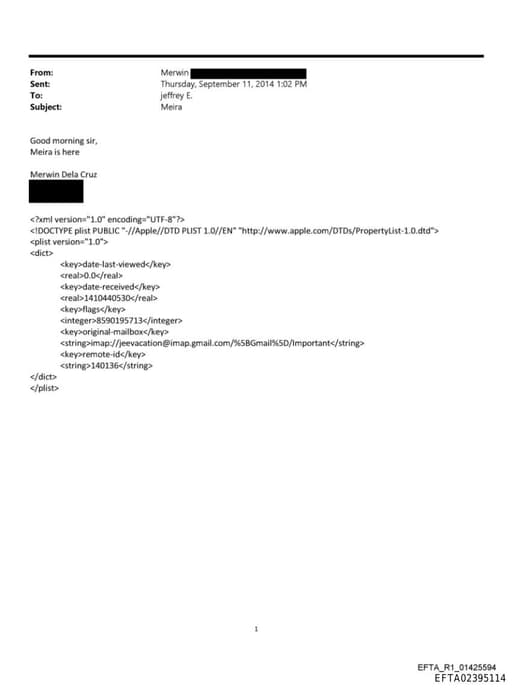 Preview of EFTA02395114